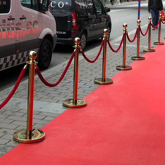 50m matta, 5m fotovägg, stolpar PL Karin